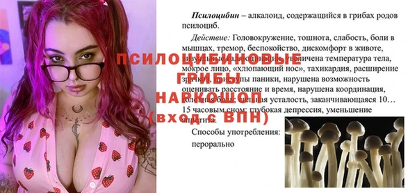 гашик Балабаново