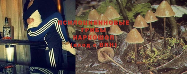 гашик Балабаново