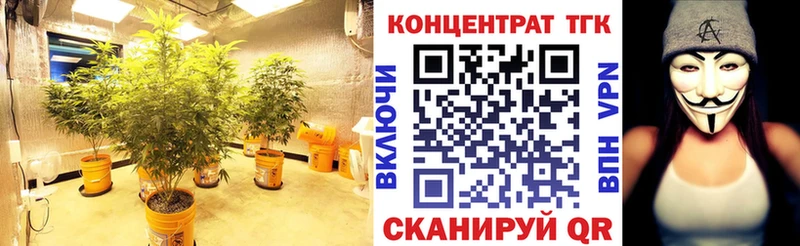 гидра маркетплейс  дарнет шоп  Сольвычегодск  Дистиллят ТГК жижа 